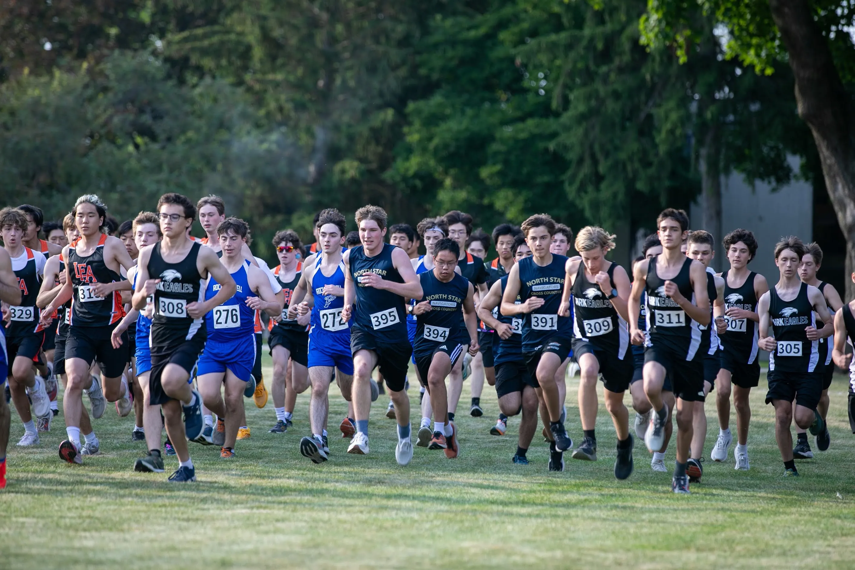 North Star activities